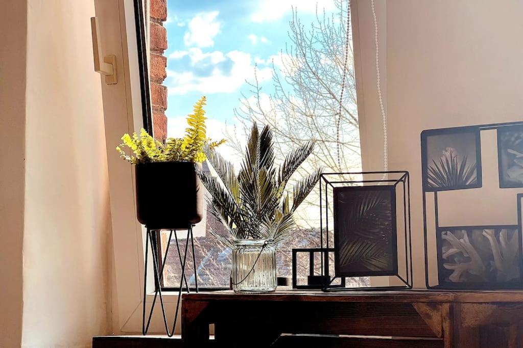 Suburban Jungle Apartment Bochum Ngoại thất bức ảnh